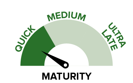 SSS - Maturity.png