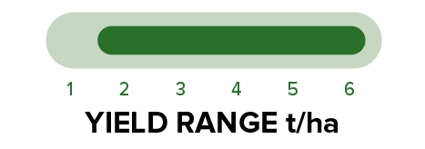 PY421C - Yield range.png