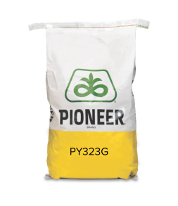 PY323G bag (253 x 293 px).png