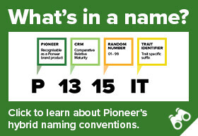 naming-banner-corn.jpg